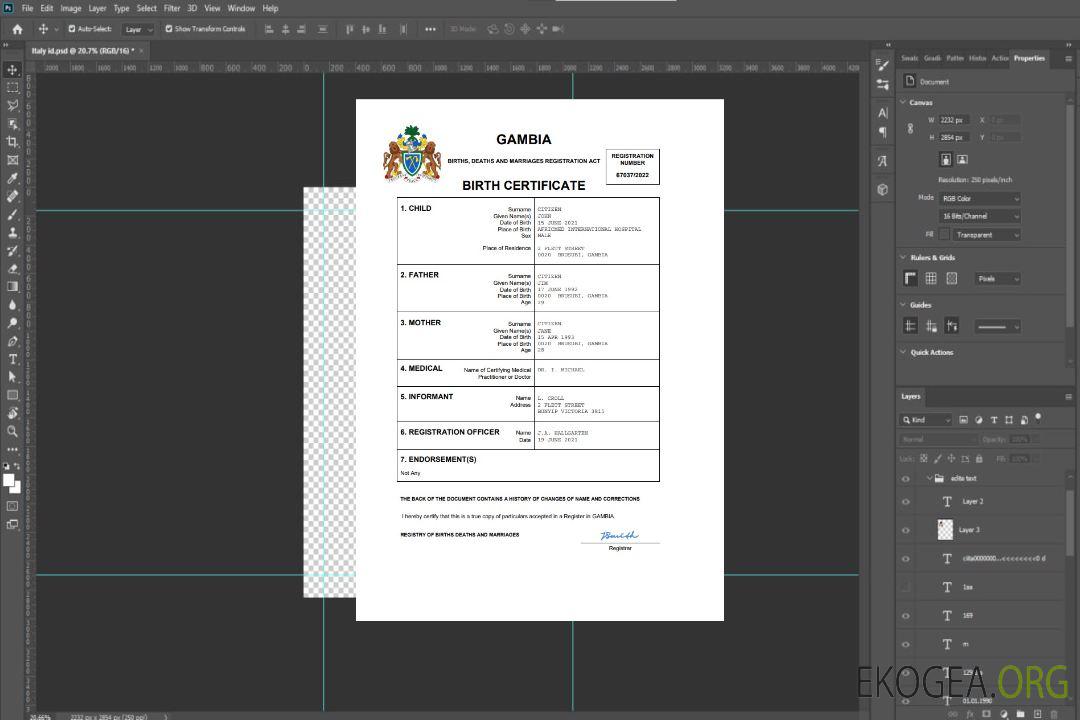 Modèle Word et PDF d'acte de naissance en Gambie template